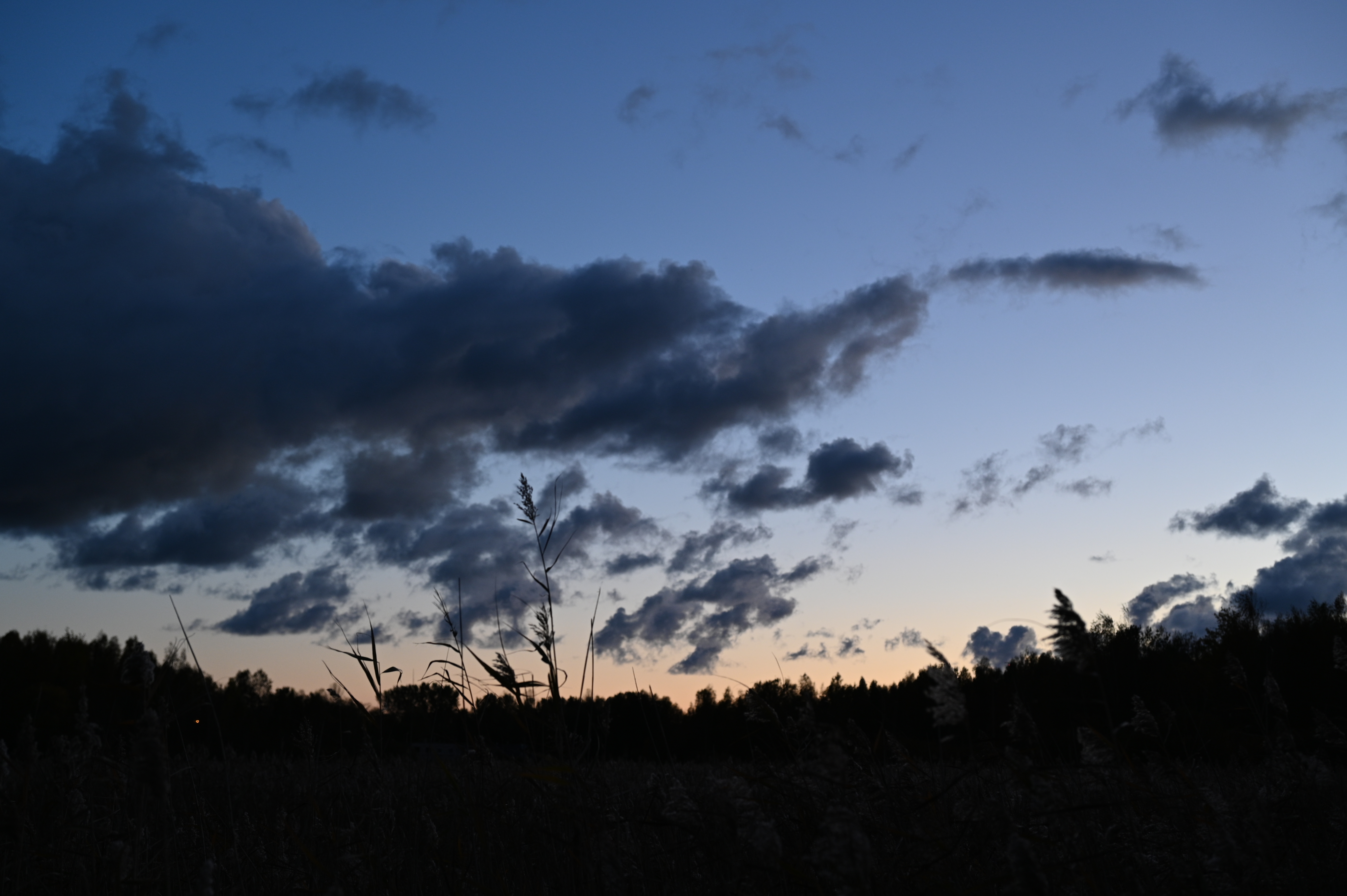 2025/10/18 - walk/DSC_0617.JPG